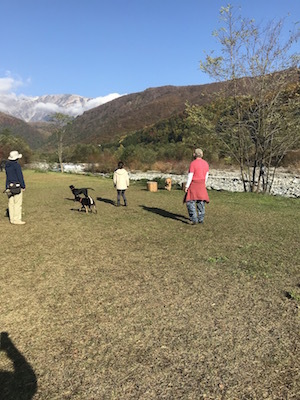 2018-10-26.jpg