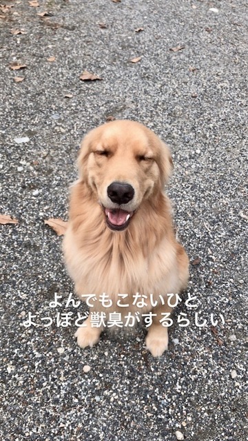 2018-11-16-1.jpg