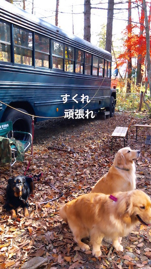 2018-11-5.jpg