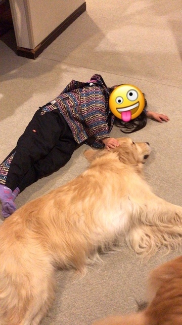 2018-12-27-1.jpg