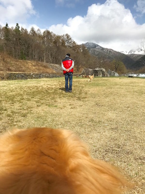 2018-4-16-1.jpg