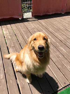 2018-5-14.jpg