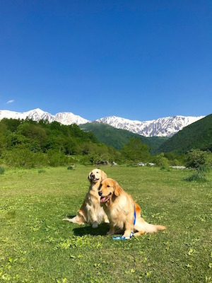 2018-5-22.jpg