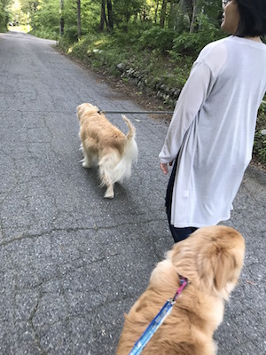 2018-5-24.jpg
