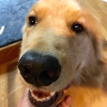 2018-6-18.jpg