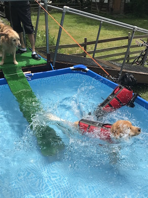 2018-6-6.jpg