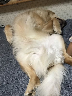 2018-7-11.jpg