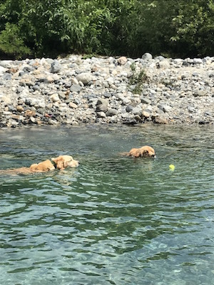 2018-8-2.jpg