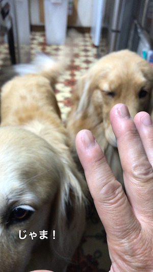 2018-9-13.jpg
