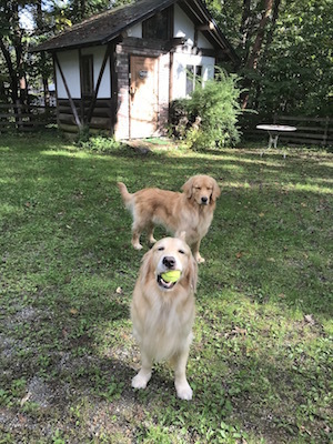 2018-9-22.jpg