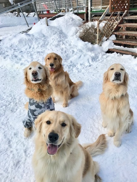 2019-1-13.jpg
