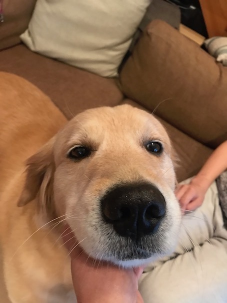 2019-10-10-2.jpg