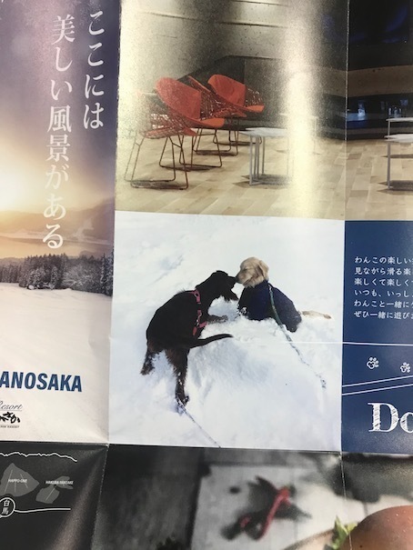 2019-11-1-3.jpg
