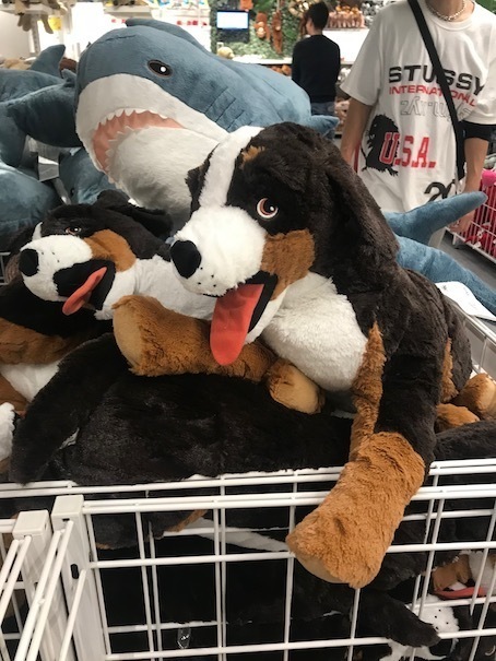 2019-11-10-2.jpg