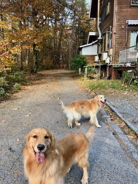 2019-11-12.jpg