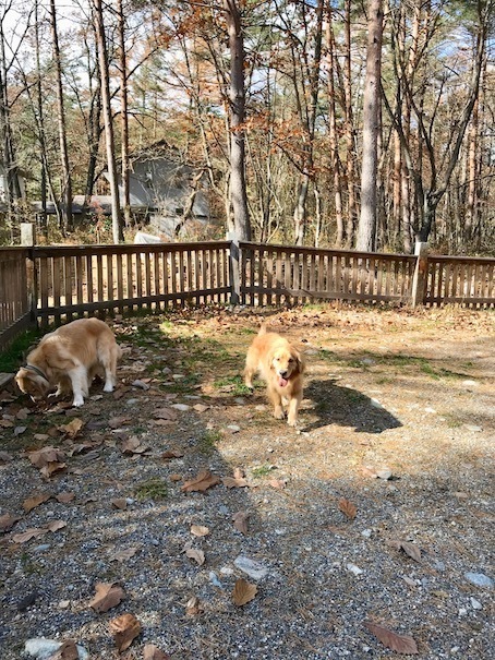 2019-11-18-1.jpg