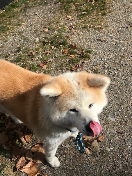 2019-11-18-2.jpg