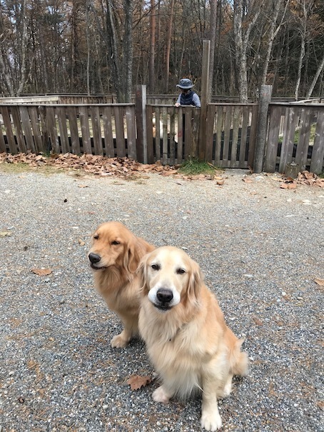 2019-11-18-3.jpg