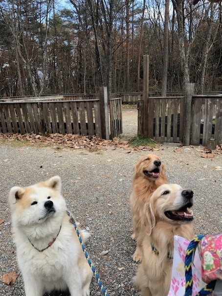 2019-11-18-4.jpg