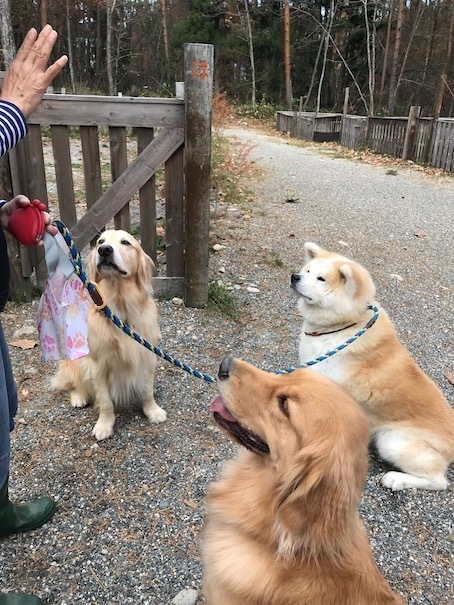 2019-11-18-5.jpg