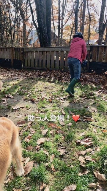 2019-11-18.jpg