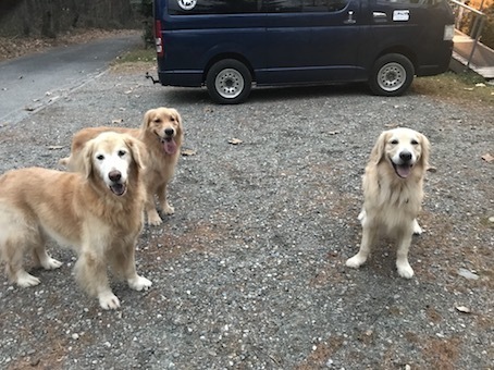 2019-11-27-1.jpg