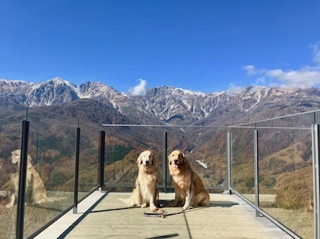 2019-11-5-1.jpg