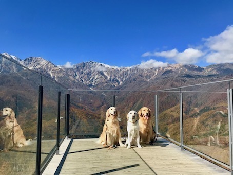 2019-11-5-2.jpg