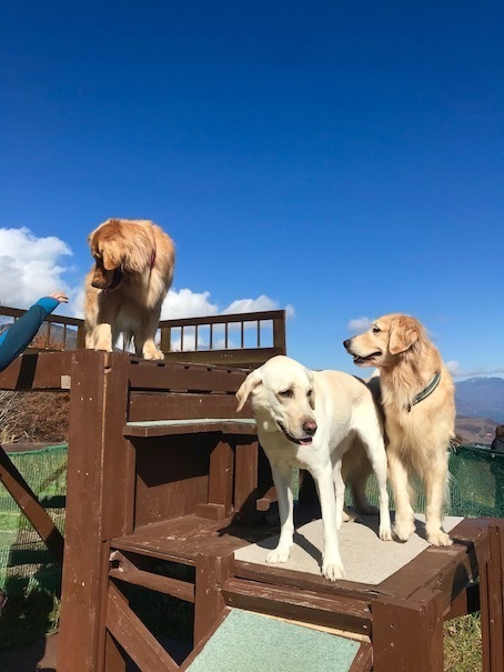2019-11-5-6.jpg