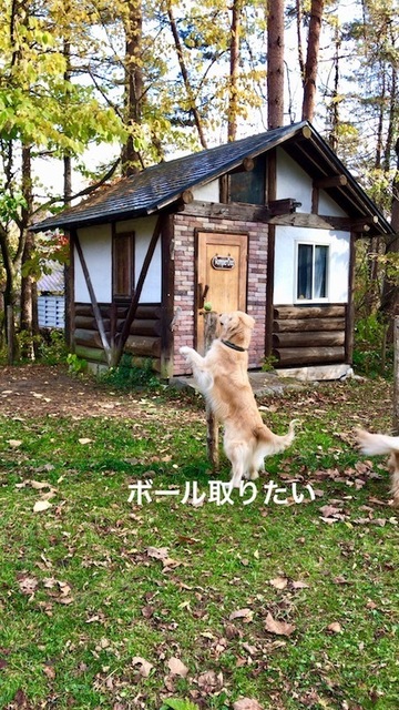2019-11-7-1.jpg