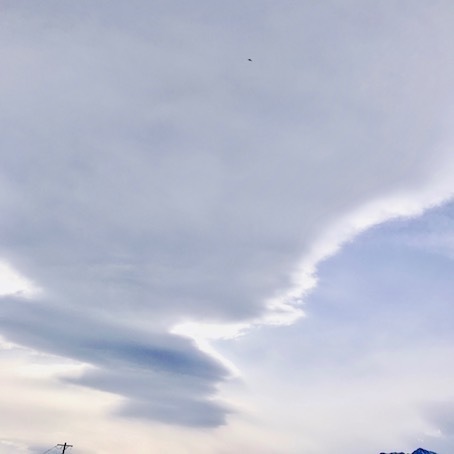 2019-12-1-1.jpg