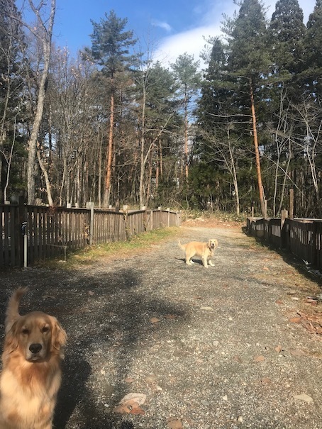 2019-12-1.jpg