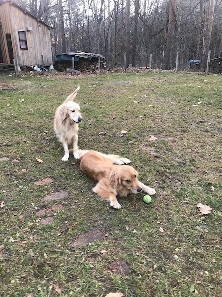 2019-12-3.jpg