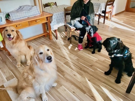2019-12-9-1.jpg