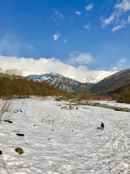 2019-3-12.jpg