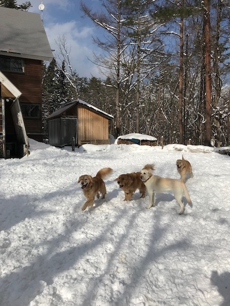 2019-3-14-2.jpg