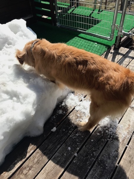 2019-3-21.jpg