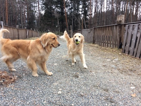 2019-3-22.jpg