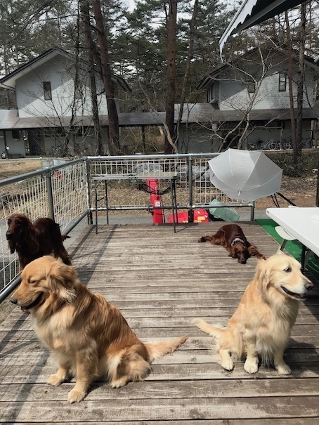 2019-4-14.jpg