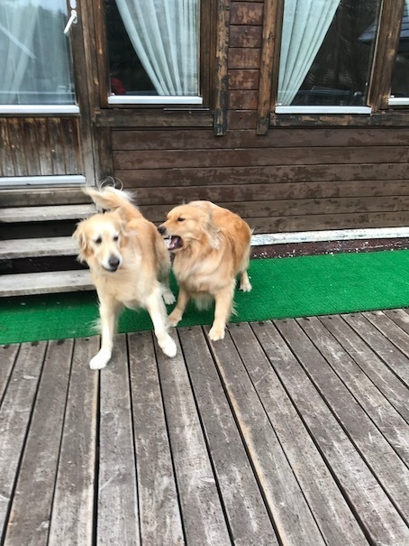 2019-4-26-1.jpg