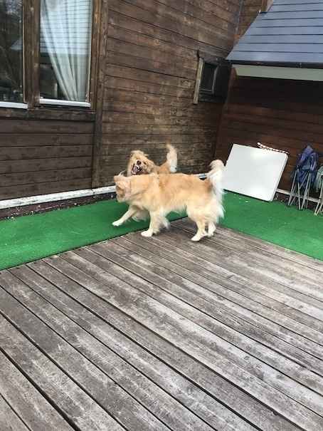 2019-4-26-2.jpg
