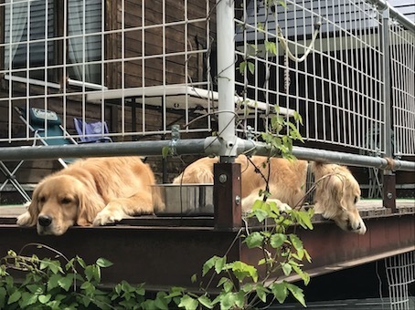 2019-5-11.jpg