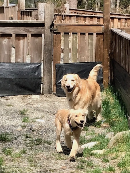 2019-5-8-2.jpg