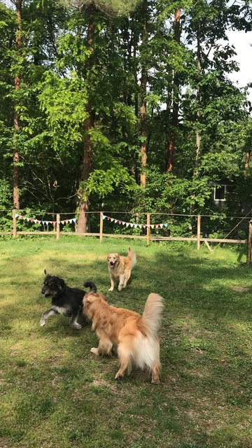 2019-6-1-1.jpg