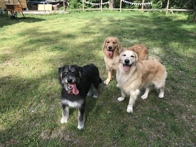 2019-6-1-4.jpg