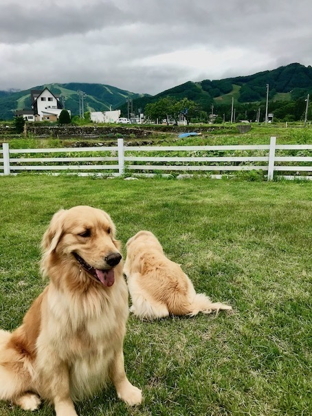 2019-6-15.jpg