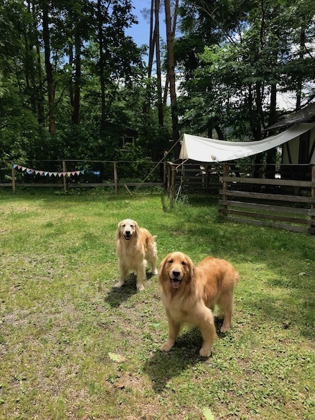 2019-6-17.jpg