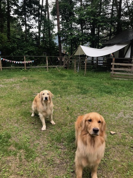 2019-6-24.jpg