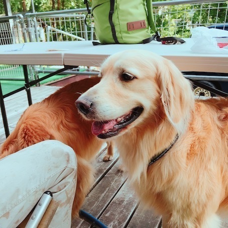 2019-6-6-1.jpg