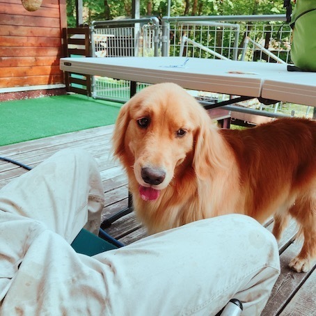 2019-6-6-2.jpg